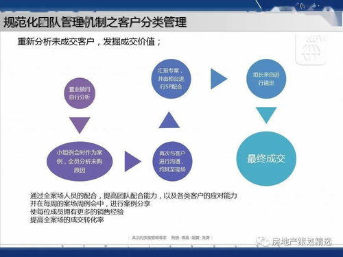 策划 成都蓝光地产观岭国际营销方案报告ppt